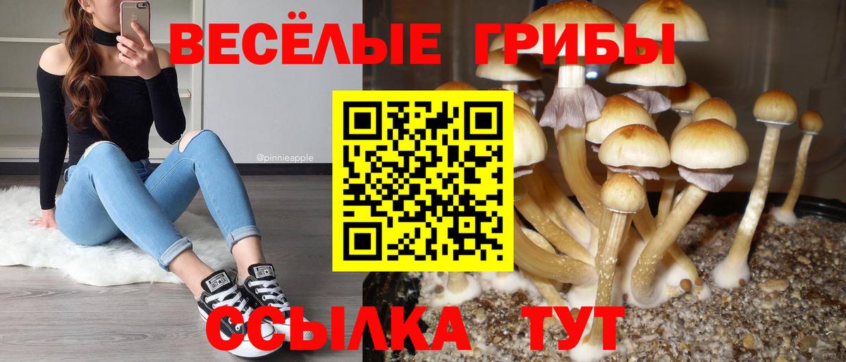 Ростов-на-Дону  Псилоцибиновые грибы GOLDEN TEACHER  Вход с VPN 
