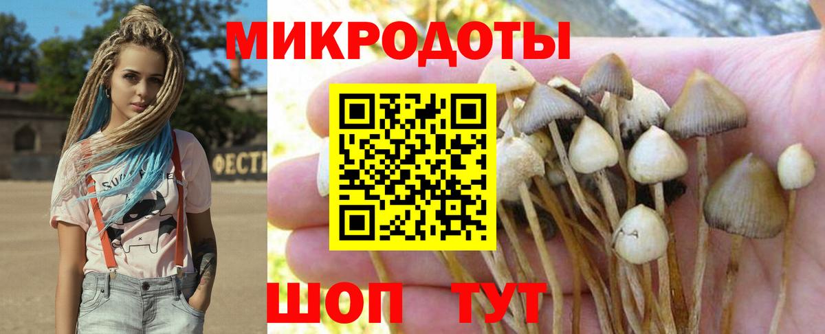 Галлюциногенные грибы Magic Shrooms Ростов-на-Дону